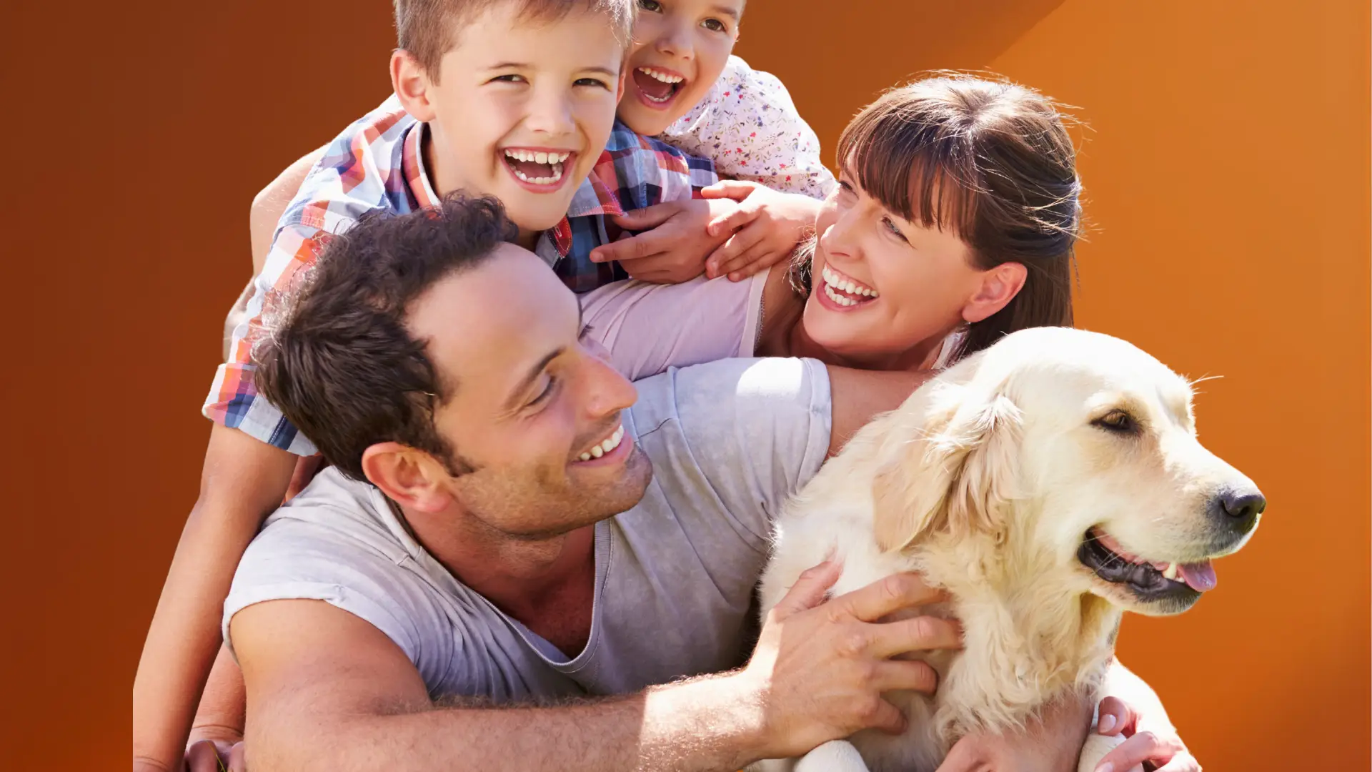 - teddyvets טדי וטס | רשת מרפאות וטרינריות - רפואה בגובה הברכיים